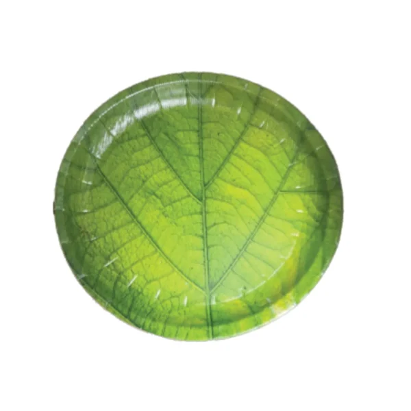 Paper Bowl & Plates #05