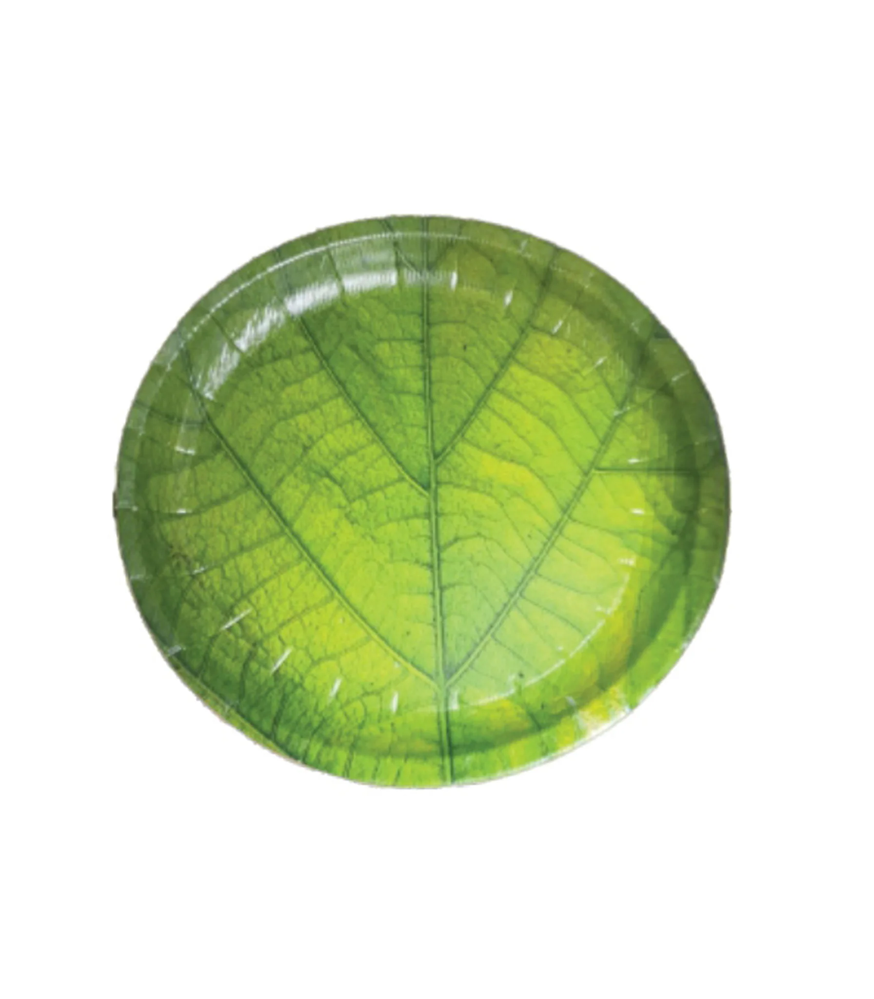 size 10 paper plate( sb) box pack 1000 pcs