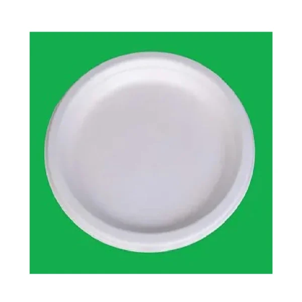 Dinearth Bagassae products #02