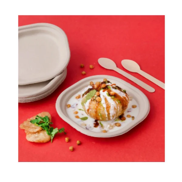 Baggase Bowl & Plates #02