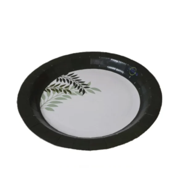 Paper Bowl & Plates #04