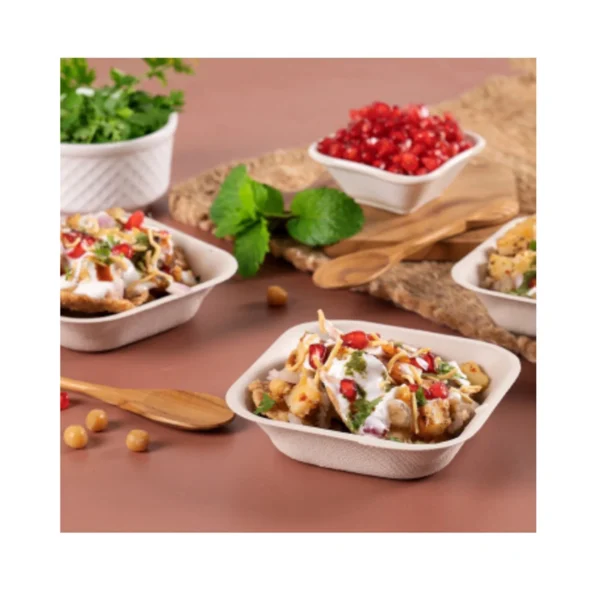 Baggase Bowl & Plates #06